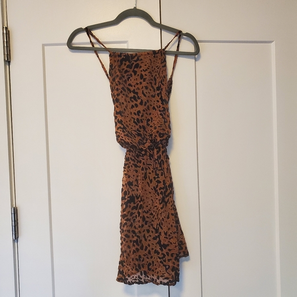 Leopard Print Burnout Velvet Mini Dress - Picture 5 of 7